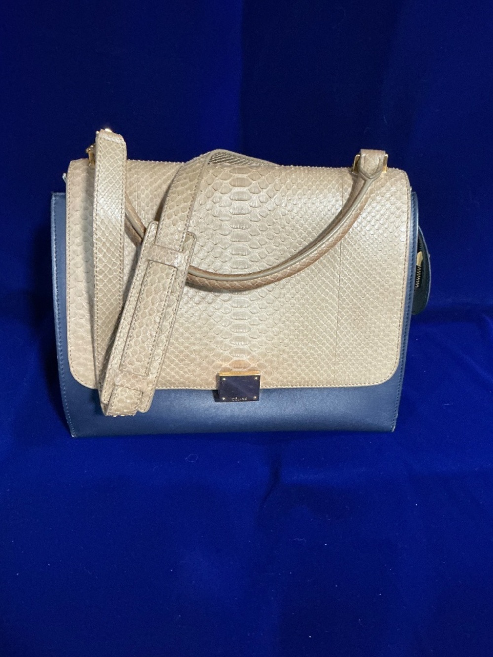 Celine Trapeze Medium Python Multi-Colored Shoulder Bag - Picture 3 of 14
